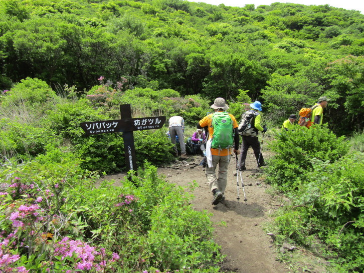 2017 九重連山ミヤマキリシマ咲き誇る平治岳～北大船山_a0206345_10371713.jpg