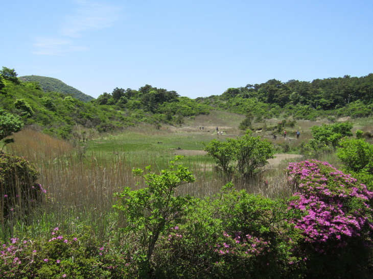 2017 九重連山ミヤマキリシマ咲き誇る平治岳～北大船山_a0206345_10474319.jpg