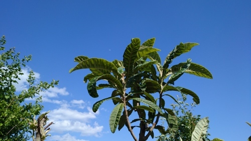 f0326946_02261069.jpg