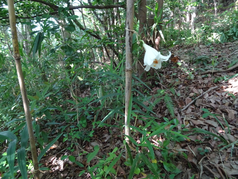 c0108460_20374775.jpg