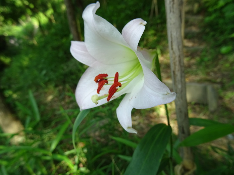 c0108460_20381986.jpg