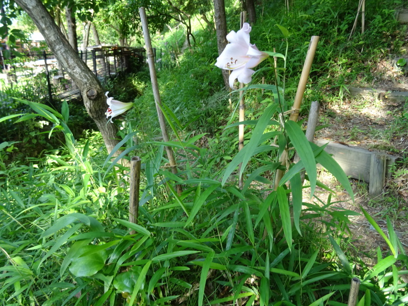 c0108460_20382135.jpg