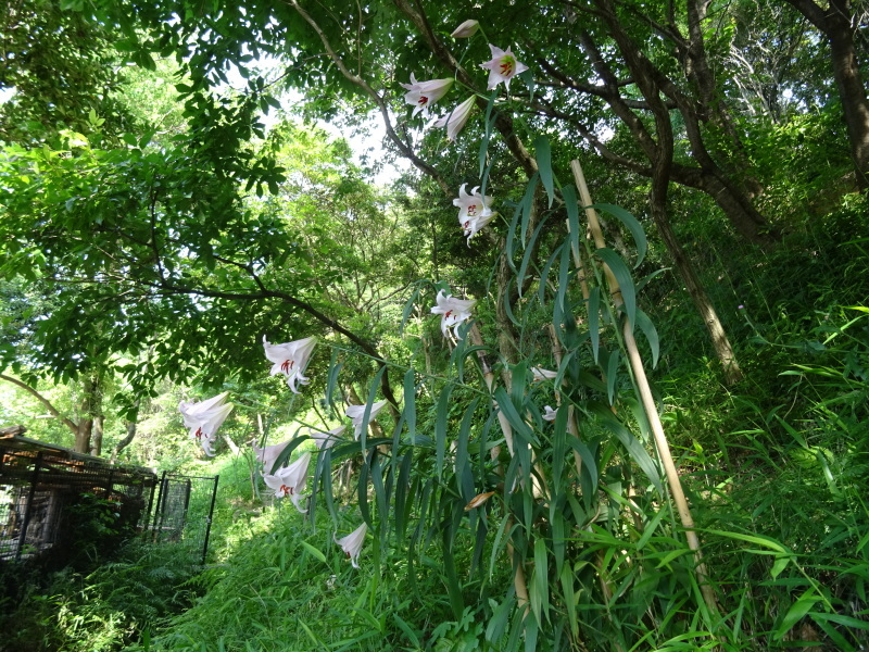c0108460_20402093.jpg