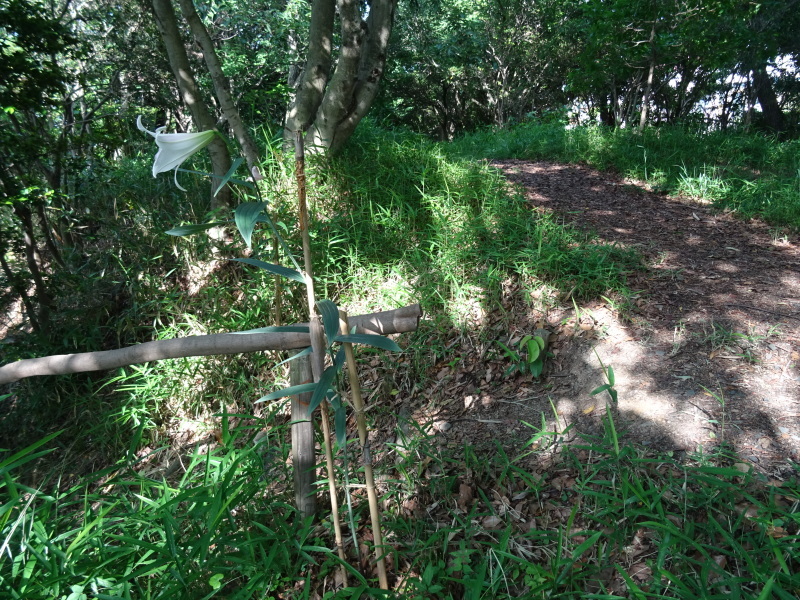 c0108460_20483966.jpg