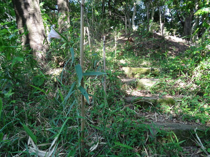 c0108460_20502920.jpg