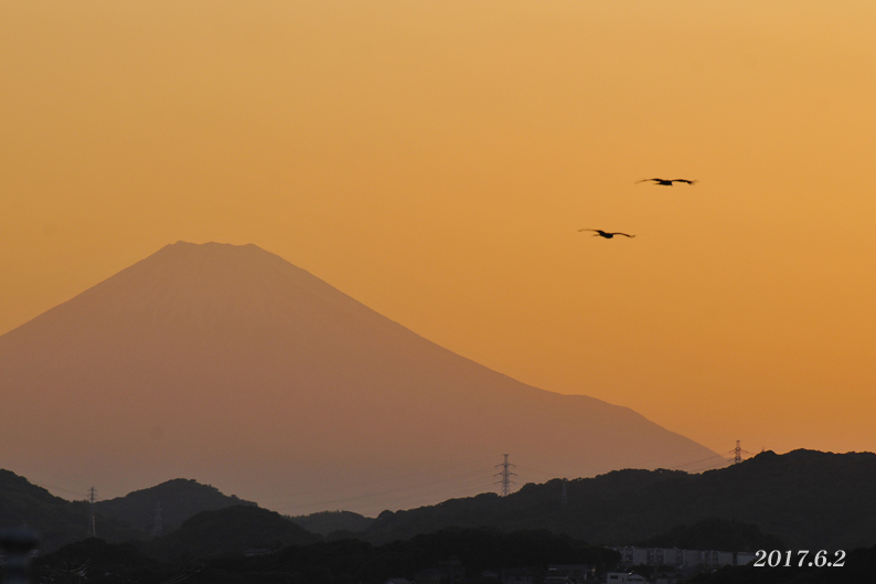 はなれ笠トビ !? 『富士山』_d0251161_17075323.jpg