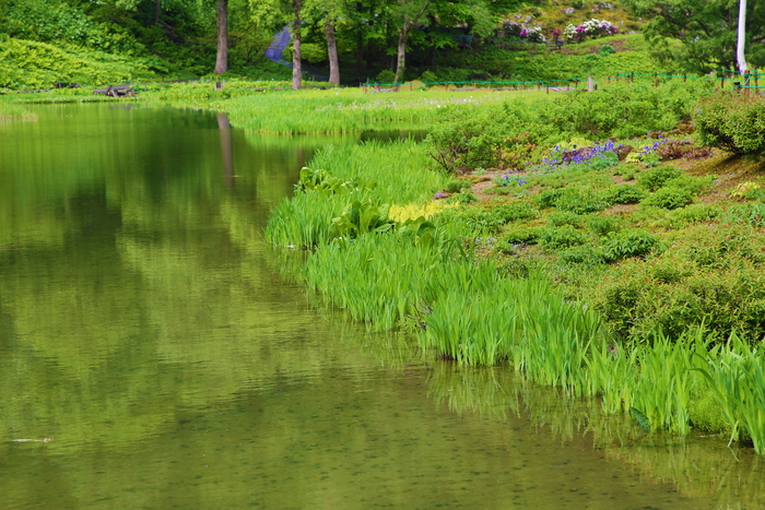 六月の湯沢高原_b0232463_21413055.jpg