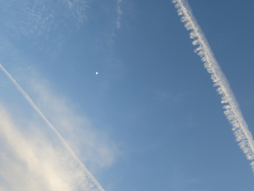 e0364065_22242867.jpg