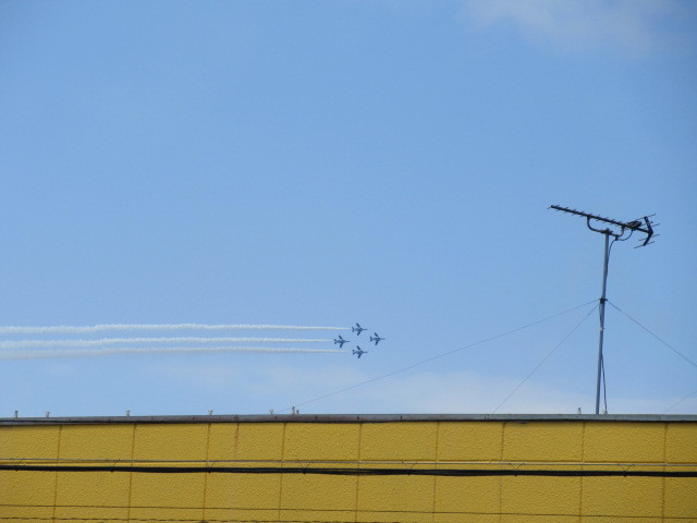 f0369873_13433858.jpg