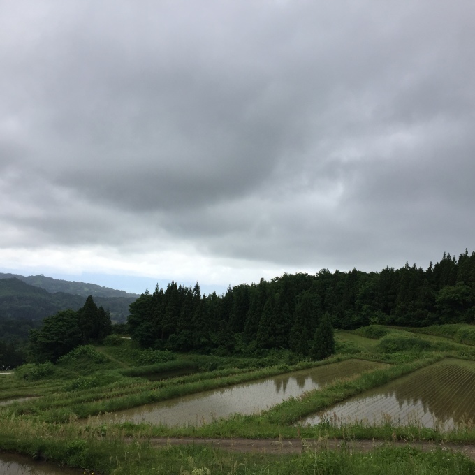 牧っこ探検隊、行ってきました。_d0182179_19485329.jpg