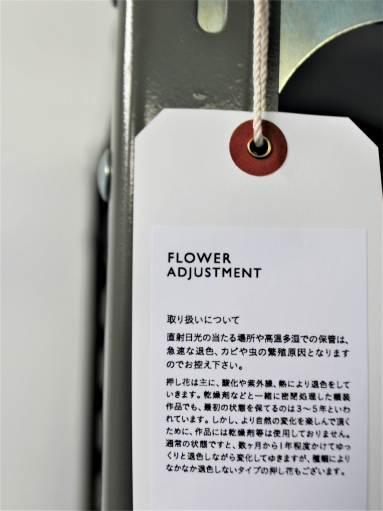 FLOWER ADJUSTMENT / フラワーアジャストメント_b0139281_1436271.jpg