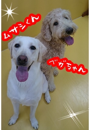2ショット! パート2_f0357682_12304288.jpg