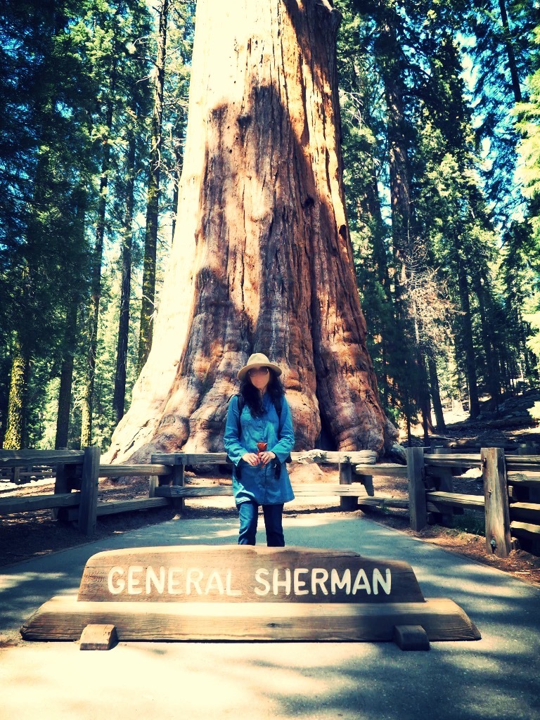 お一人様旅行その2 General Sherman Tree@Sequoia National Park_e0183383_05592158.jpg