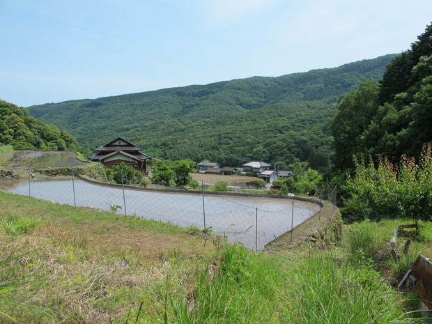 西方寺「窓の迫」を訪ねる　2017.6.3（土）_a0166196_1511433.jpg