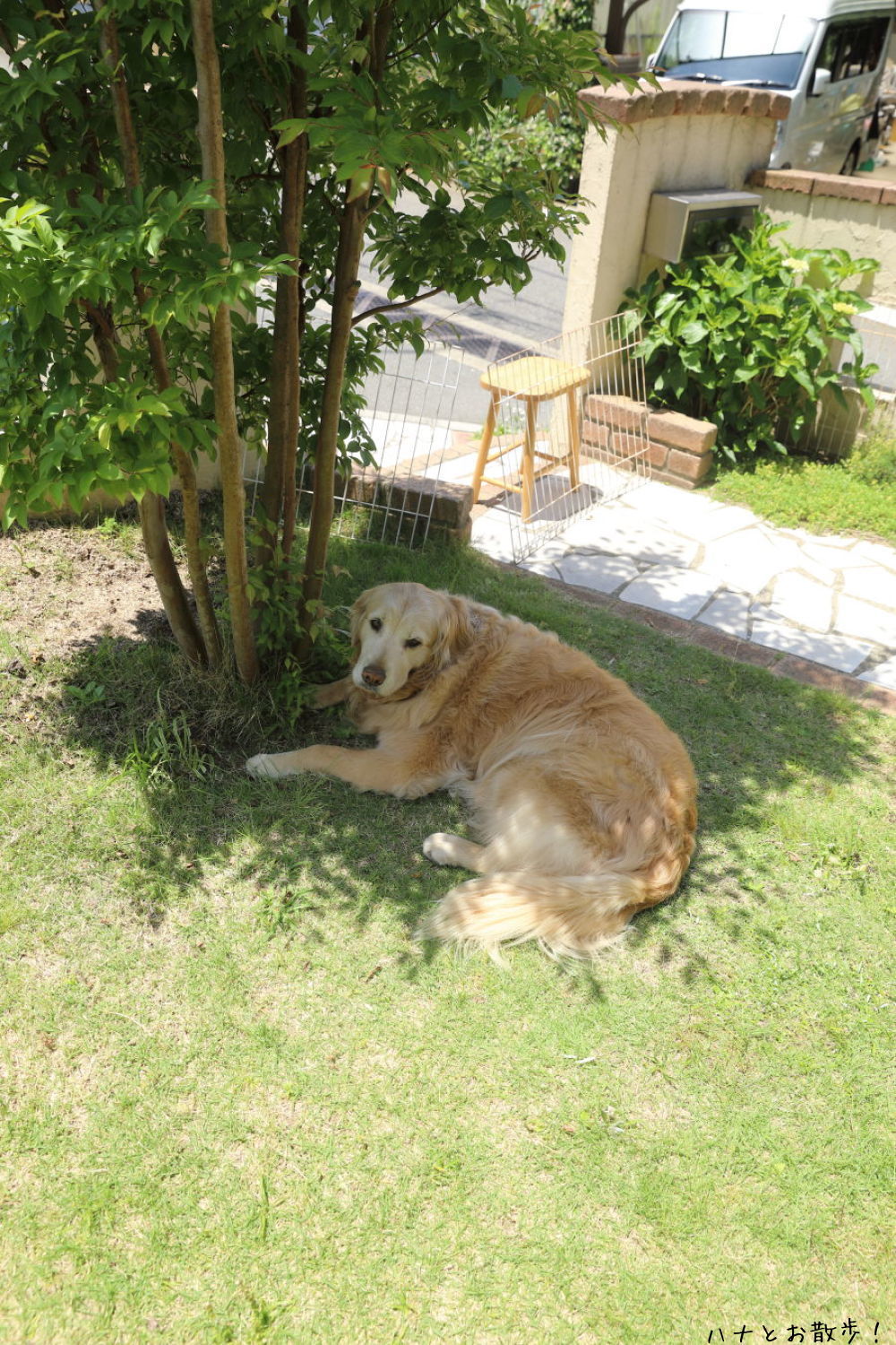 b0275998_12143002.jpg