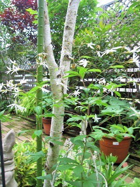 c0117898_18404711.jpg