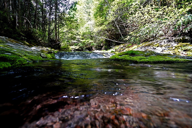 c0339900_14233355.jpg