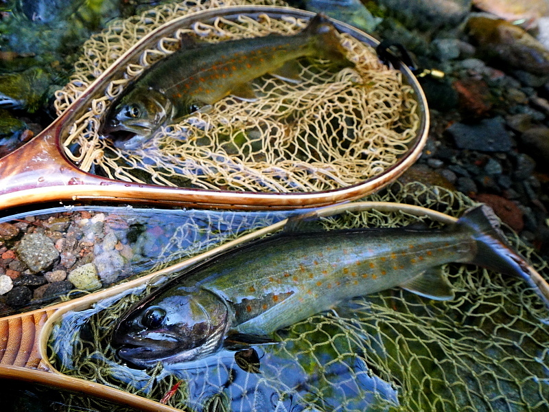 c0339900_14253856.jpg