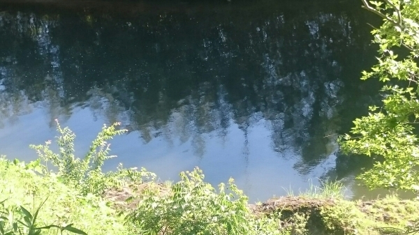d0362800_23351539.jpg
