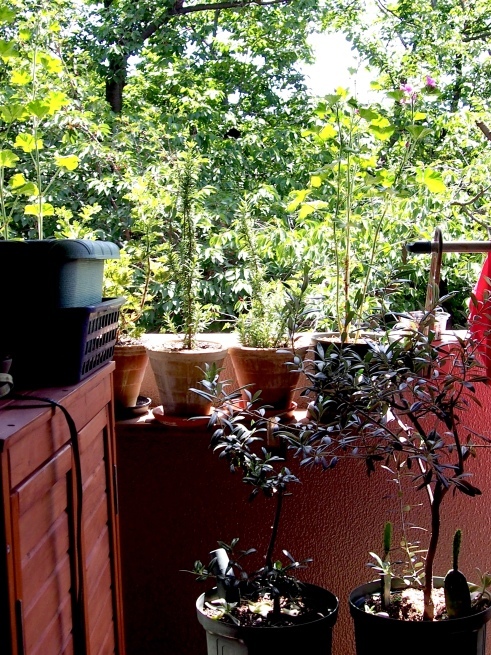 c0362401_10573674.jpg