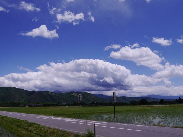 f0144003_11500702.jpg