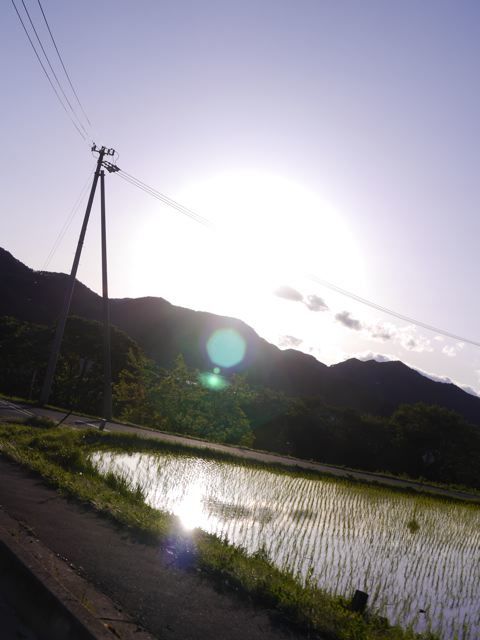f0144003_11503321.jpg