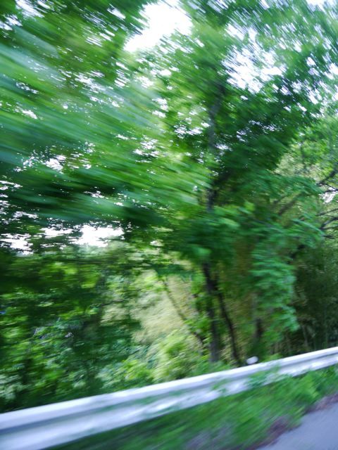 f0144003_11504073.jpg