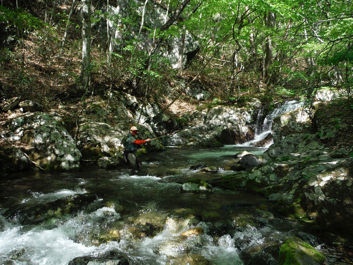 b0172805_09404419.jpg