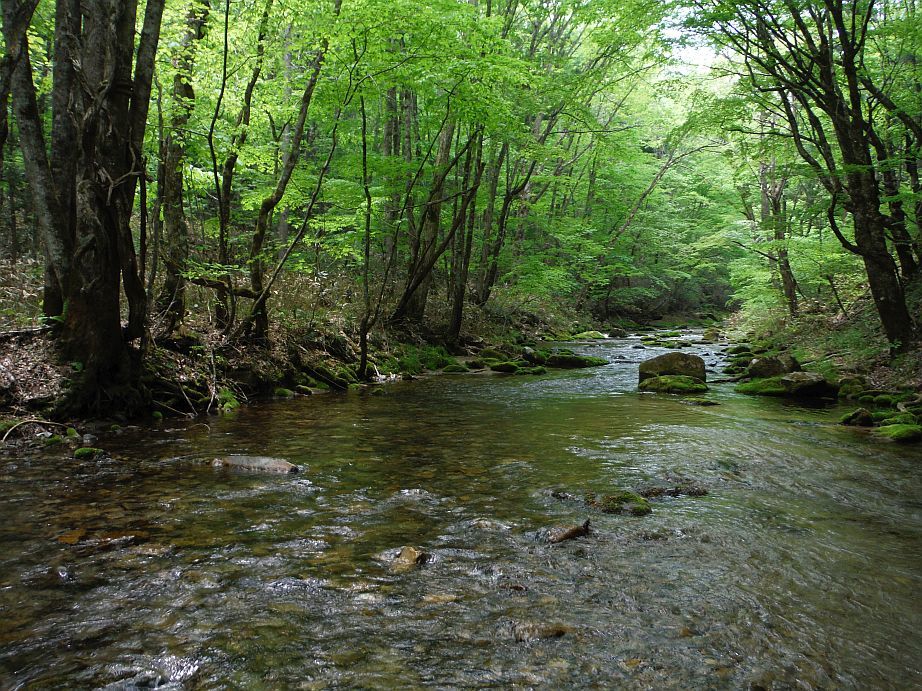 b0172805_15091962.jpg