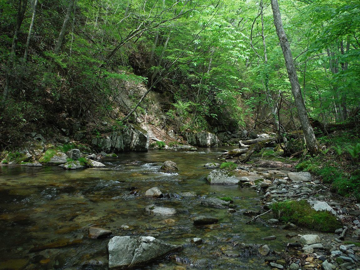 b0172805_15144078.jpg