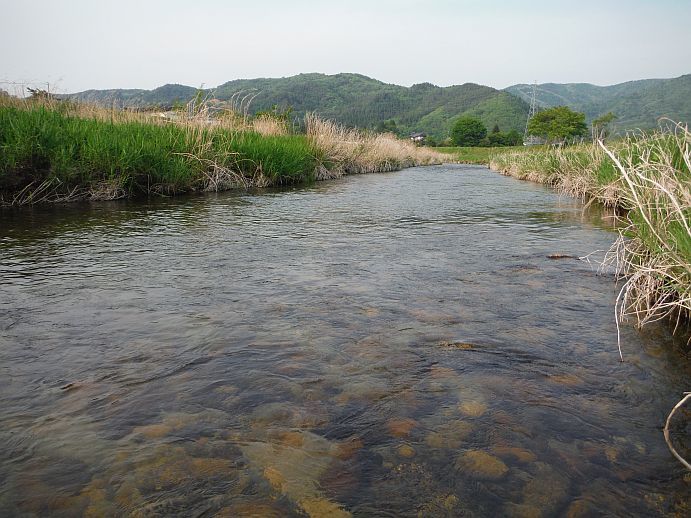 b0172805_15174700.jpg
