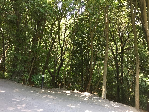 f0364707_00044852.jpg
