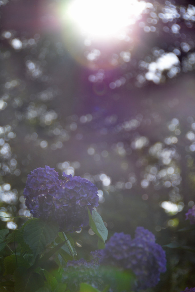 a0017909_23213706.jpg