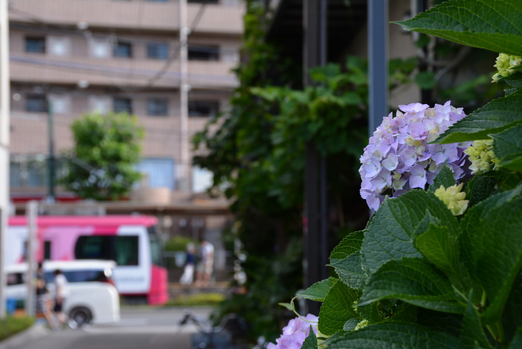 a0017909_23254572.jpg