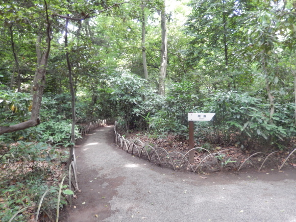 a0226627_21095821.jpg