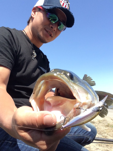 c0204027_20132314.jpg