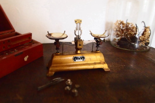c0148232_10041862.jpg