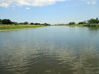 f0321433_22141235.jpg