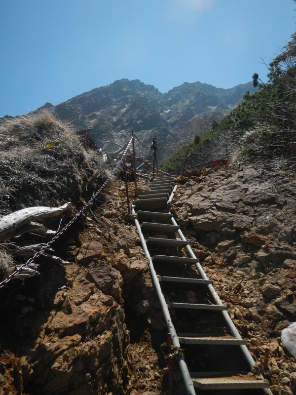 八ヶ岳登山記_e0341336_15120954.jpg