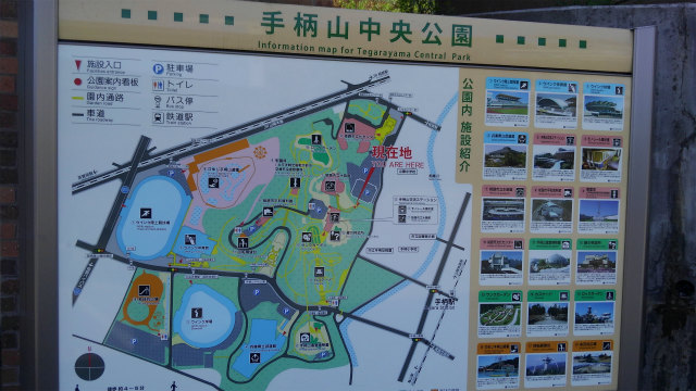 手柄山中央公園_d0127538_10394928.jpg