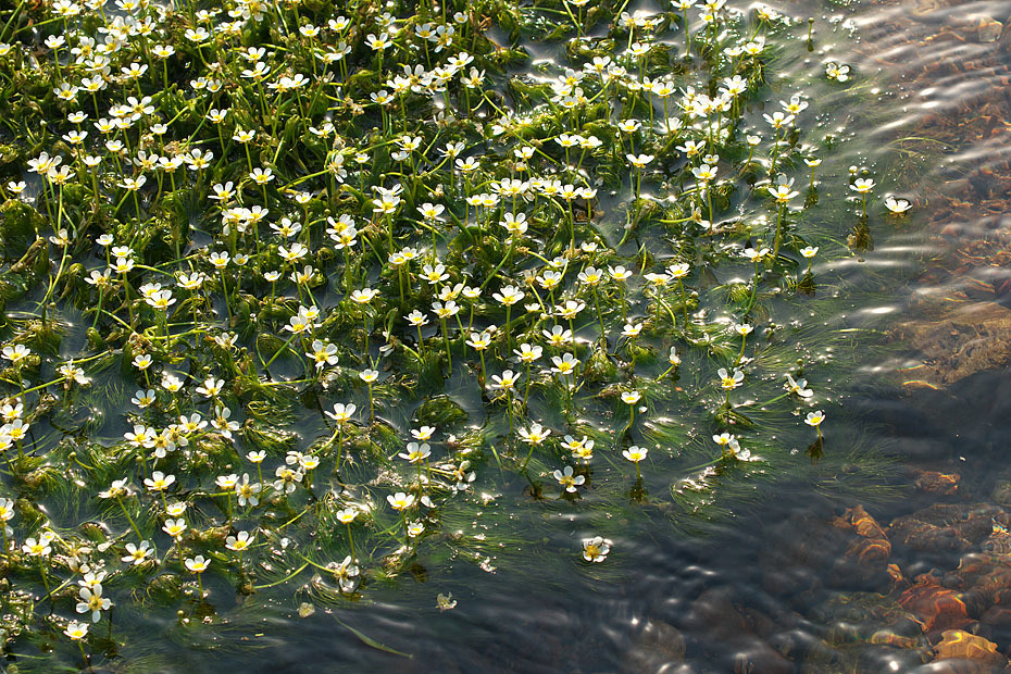 c0067040_16251180.jpg