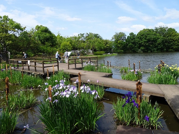 b0299042_05154070.jpg
