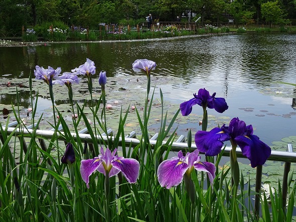 b0299042_05172730.jpg
