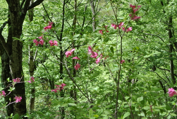 e0376642_17290077.jpg