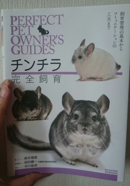チンチラ完全飼育本 買った ゆる い日記 In 三鷹 チンチラのラミちゃんとの日々 チンチラ完全飼育本 買った ゆる い日記 In 三鷹 チンチラのラミちゃんとの日々
