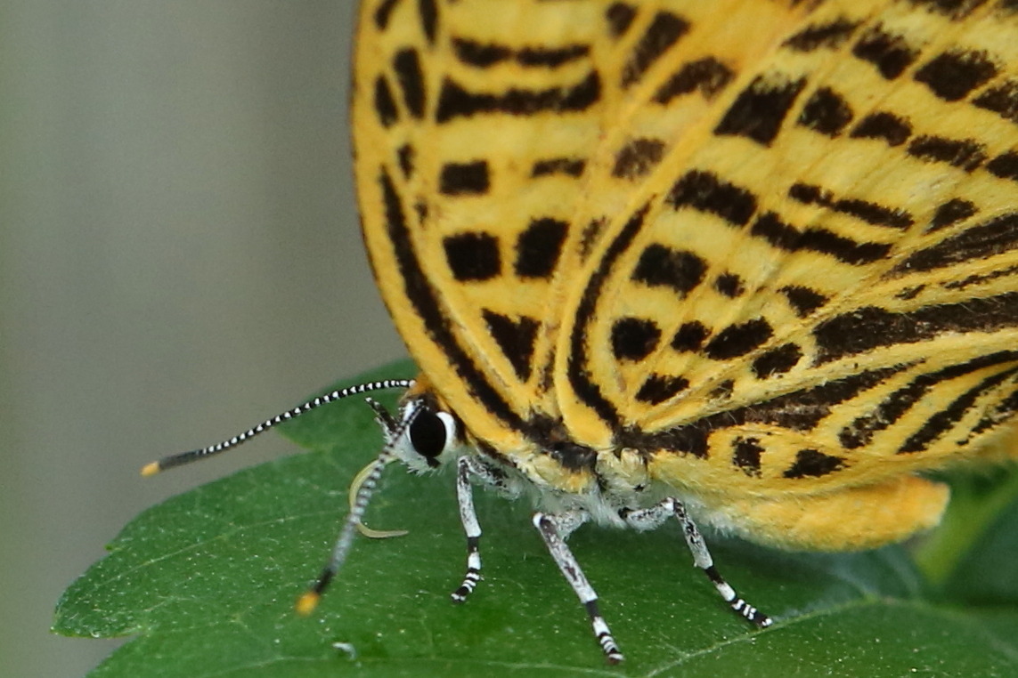 f0345350_15410331.jpg