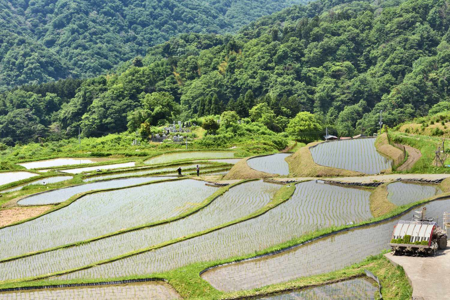 棚田　　　京都府_d0286954_17513765.jpg