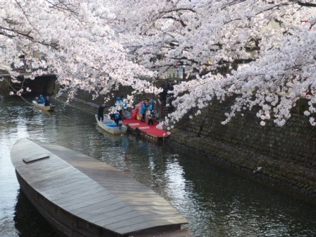 大垣祭・軕（やま）、そして桜_f0197754_19204343.jpg