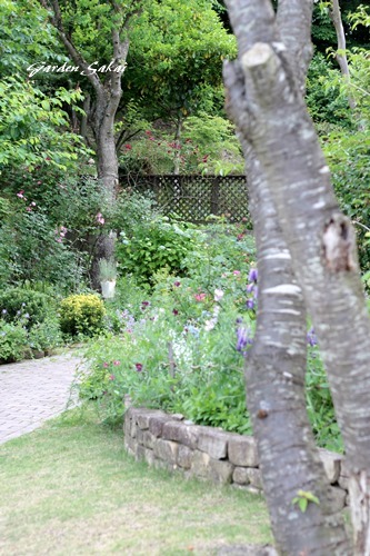 f0184055_10462972.jpg