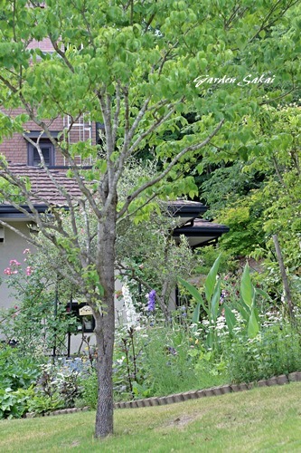 f0184055_10463883.jpg
